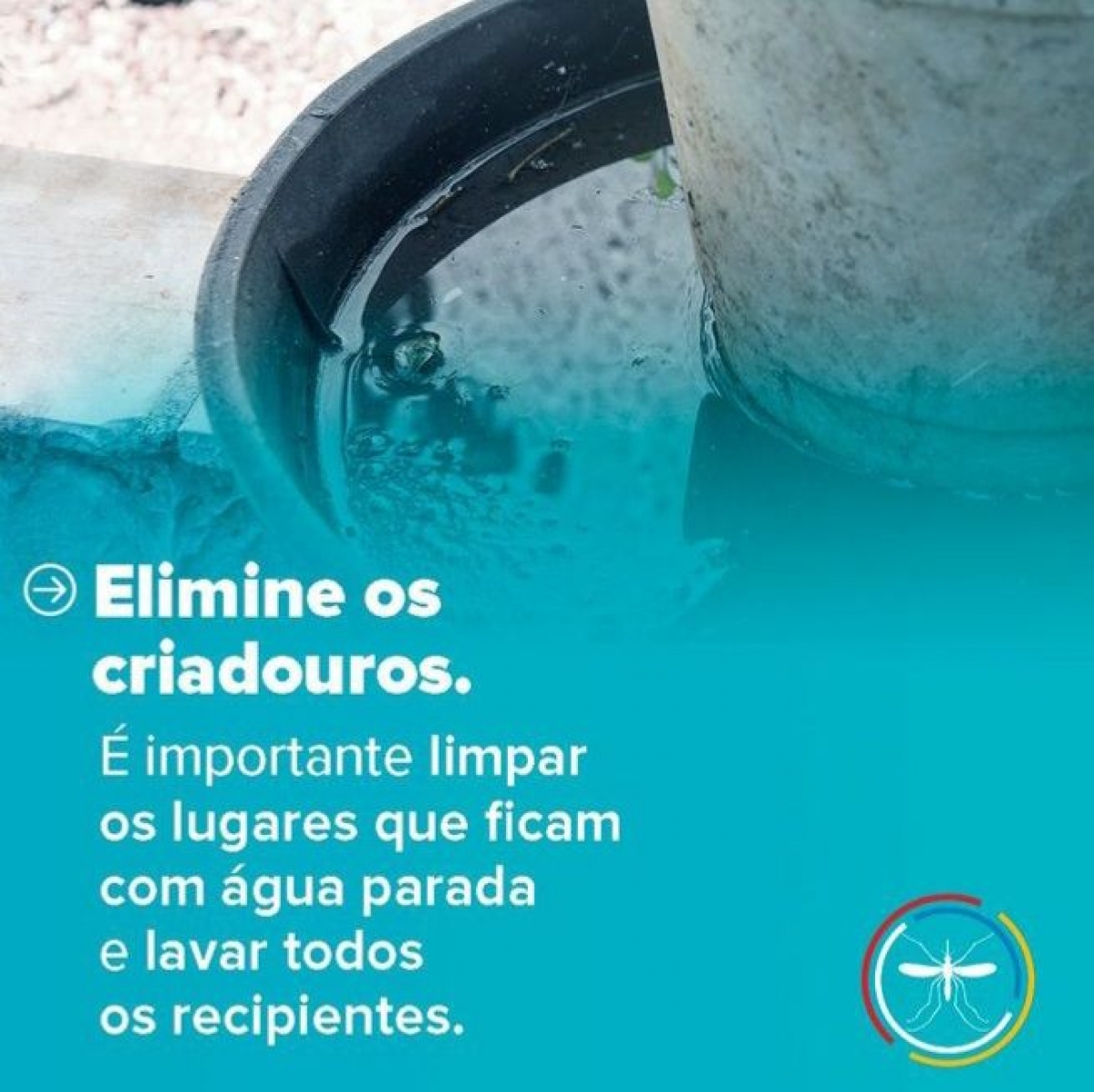 Brasil ultrapassa marca de 5 mil mortes por dengue — imagem 6